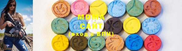 индика Богородицк