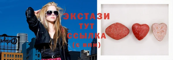 индика Богородицк