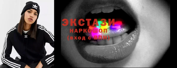 индика Богородицк