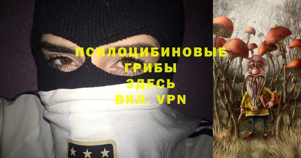 мяу мяу кристалл Богданович