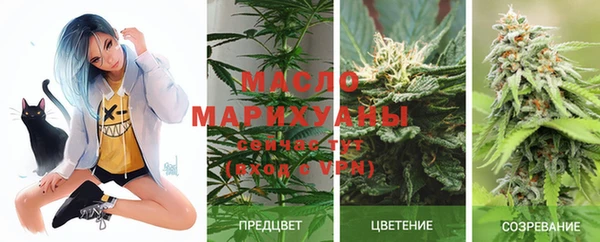 индика Богородицк