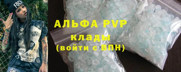 индика Богородицк