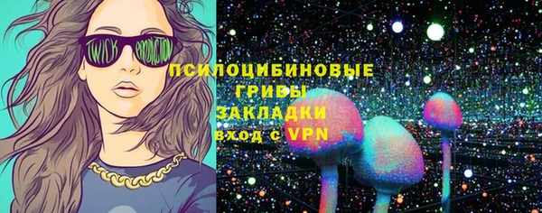 мяу мяу кристалл Богданович