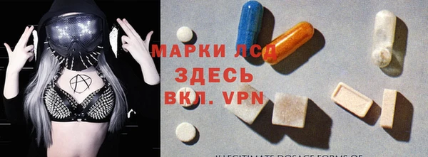 индика Богородицк