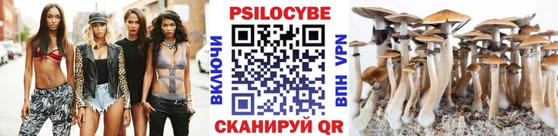 KRAKEN как зайти Беслан Галлюциногенные грибы Psilocybe купить наркотик